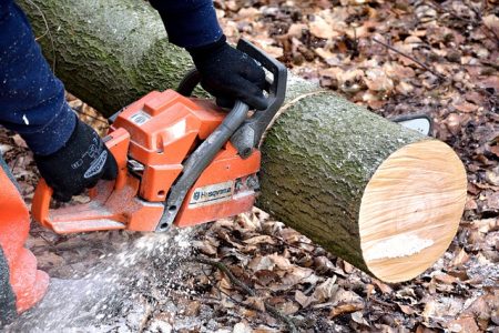 cutting-wood-2146507_640